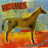 Big Lanes - Understanding Your Horse