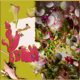 CLAIR - Body Blossom - Revelations