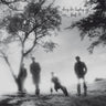 JOSEF K - SORRY FOR LAUGHING