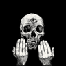 Chaos Echos - Tone Of Things To Come