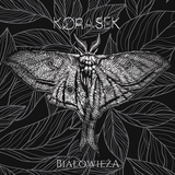 Korasek - Białowieża