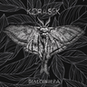 Korasek - Białowieża