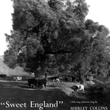 Shirley Collins - Sweet England (2025 Reissue)