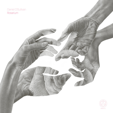 Daniel O'Sullivan - Rosarium