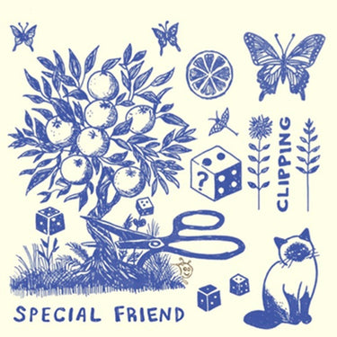 Special Friend