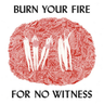 Angel Olsen - Burn Your Fire For No Witness