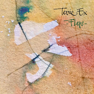 Terrie Ex - Flaps!