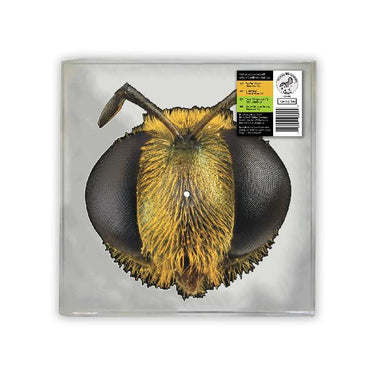 King Gizzard & The Lizard Wizard - Big Fig Wasp - 1LP - Picture Disc Shaped like the Face of a Bee  [RSD 2026]