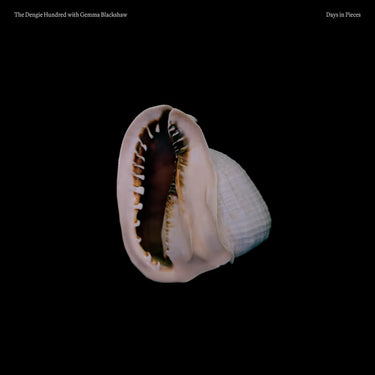 the dengie Hundred and Gemma Blackshaw - Days in Pieces