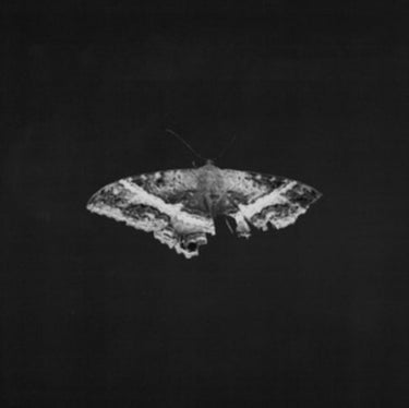 Kendrick Lamar - To Pimp A Butterfly (10Th Anniversary)
