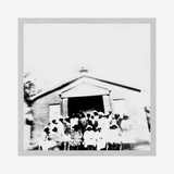 Various Artists - Songs From The B.F. White Wiregrass Sacred Harp