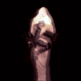 Mortuus - De Contemplanda Morte; De Reverencie L'Aboribus Ac Adorationis