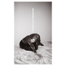 Julia Holter - Materia