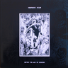 RASPBERRY BULBS - BEFORE THE AGE OF MIRRORS LP
